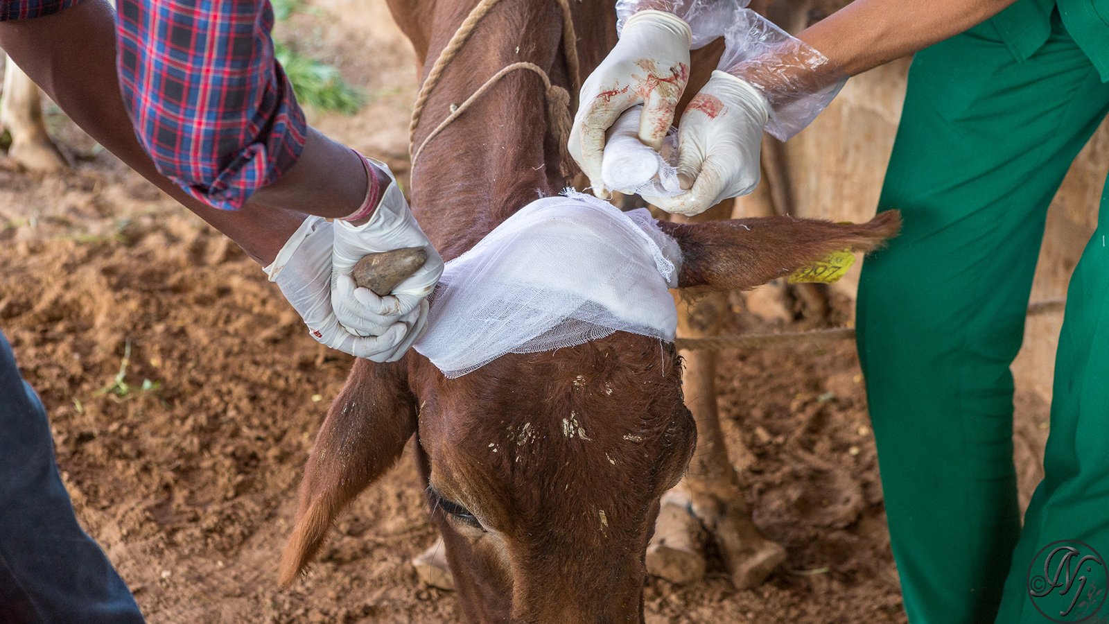 1ed2b2b1-3312-4e1b-98f7-8b19f787f277_rw_1920